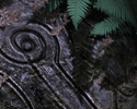 n.n